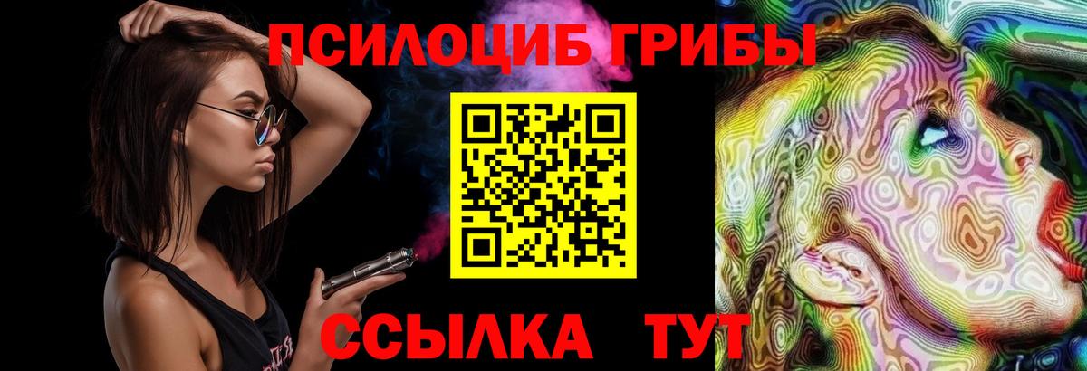 Елабуга  Галлюциногенные грибы Psilocybine cubensis  Вход с VPN 